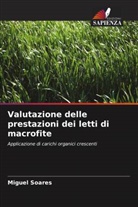 Miguel Soares - Valutazione delle prestazioni dei letti di macrofite