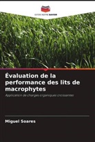 Miguel Soares - Évaluation de la performance des lits de macrophytes