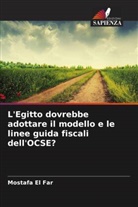 Mostafa El Far - L'Egitto dovrebbe adottare il modello e le linee guida fiscali dell'OCSE?