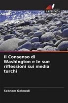 Sebnem Gelmedi - Il Consenso di Washington e le sue riflessioni sui media turchi