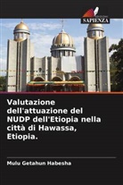 Mulu Getahun Habesha - Valutazione dell'attuazione del NUDP dell'Etiopia nella città di Hawassa, Etiopia.