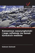 Sebnem Gelmedi - Konsensus waszyngtonski i jego refleksje na temat tureckich mediów