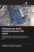 Teidiane Santos Cardoso - Valutazione della contaminazione del suolo