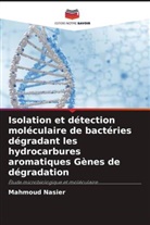 Mahmoud Nasier - Isolation et détection moléculaire de bactéries dégradant les hydrocarbures aromatiques Gènes de dégradation