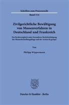 Philipp Wippermann - Zivilgerichtliche Bewältigung von Massenverfahren in Deutschland und Frankreich