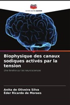 Éder Ricardo de Moraes, Anita de Oliveira Silva - Biophysique des canaux sodiques activés par la tension