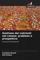 Anil Kumar, Sandeep Rawal - Gestione dei nutrienti nel cotone: problemi e prospettive