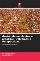Anil Kumar, Sandeep Rawal - Gestão de nutrientes no algodão: Problemas e Perspectivas