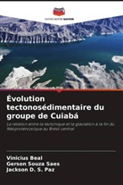 Vinicius Beal, Jackson D. S. Paz, Gerson Souza Saes - Évolution tectonosédimentaire du groupe de Cuiabá