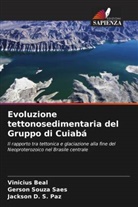 Vinicius Beal, Jackson D. S. Paz, Gerson Souza Saes - Evoluzione tettonosedimentaria del Gruppo di Cuiabá