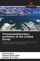 Vinicius Beal, Jackson D. S. Paz, Gerson Souza Saes - Tectonosedimentary evolution of the Cuiabá Group