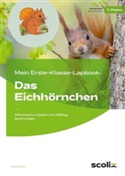Petra Mönning - Mein Erste-Klasse-Lapbook: Das Eichhörnchen