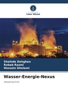 Shahide Dehghan, Hossein Gholami, Robab Razmi - Wasser-Energie-Nexus