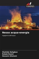 Shahide Dehghan, Hossein Gholami, Robab Razmi - Nesso acqua-energia