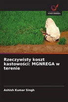 Ashish Kumar Singh - Rzeczywisty koszt kastowosci: MGNREGA w terenie