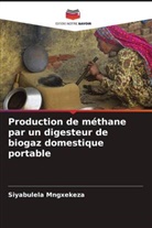 Siyabulela Mngxekeza - Production de méthane par un digesteur de biogaz domestique portable