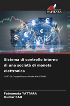 Oumar Bah, Fatoumata YATTARA - Sistema di controllo interno di una società di moneta elettronica