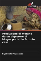 Siyabulela Mngxekeza - Produzione di metano da un digestore di biogas portatile fatto in casa
