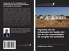 Endalkachew Girma - Impactos de los refugiados de Sudán del Sur en las comunidades de acogida de Gambella