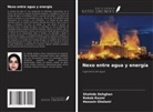 Shahide Dehghan, Hossein Gholami, Robab Razmi - Nexo entre agua y energía