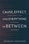 Aboozar Hadavand - Cause, Effect, and Everything in Between