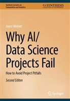 Joyce Weiner - Why AI/Data Science Projects Fail
