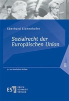 Eberhard Eichenhofer, Eberhard (Prof. Dr. Dr. h. c.) Eichenhofer - Sozialrecht der Europäischen Union