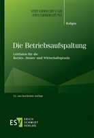 Thomas Kaligin, Thomas (Dr. jur.) Kaligin - Die Betriebsaufspaltung