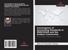 João Luis Peruchena Thomaz - Convergence of Accounting Standards in MERCOSUR and the Andean Community: