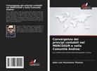 João Luis Peruchena Thomaz - Convergenza dei principi contabili nel MERCOSUR e nella Comunità Andina: