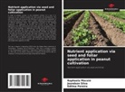 Raphaela Maceió, Edilma Pereira, Jeandson Silva - Nutrient application via seed and foliar application in peanut cultivation