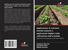 Raphaela Maceió, Edilma Pereira, Jeandson Silva - Applicazione di nutrienti tramite sementi e applicazioni fogliari nella coltivazione dell'arachide