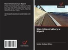 Saidat Onikosi-Alliyu - Stan infrastruktury w Nigerii