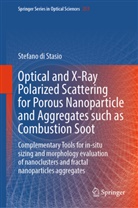Stefano di Stasio - Optical and X-Ray Polarized Scattering for Porous Nanoparticle and Aggregates such as Combustion Soot