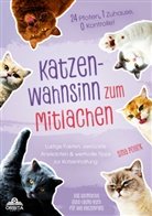 Sina Pollok - Katzen-Wahnsinn zum Mitlachen