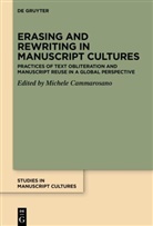 Michele Cammarosano - Erasing and Rewriting in Manuscript Cultures