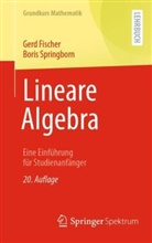 Gerd Fischer, Boris Springborn - Lineare Algebra