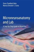 Feres Chaddad-Neto, Marcos Devanir Silva da Costa - Microneuroanatomy and Lab