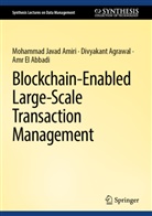 Divyakant Agrawal, Mohammad Javad Amiri, El Abbadi, Amr El Abbadi - Blockchain-Enabled Large-Scale Transaction Management