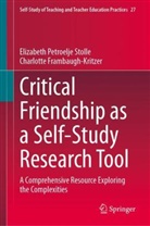 Cha Frambaugh-Kritzer, Charlotte Frambaugh-Kritzer, Elizabeth Petroelje Stolle - Critical Friendship as a Self-Study Research Tool