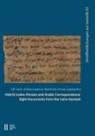 Ofir Haim, Andreas Kaplony, Maximilian Kinzler, Ludwig Paul - Hybrid Judeo-Persian and Arabic Correspondence
