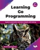 Shubhangi Agarwal - Learning Go Programming
