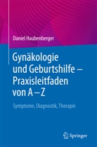 Daniel Haubenberger - Gynäkologie und Geburtshilfe - Praxisleitfaden von A - Z