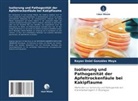 Rayan Oniel González Moya - Isolierung und Pathogenität der Apfeltrockenfäule bei Kakipflaume