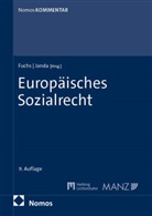 Maximilian Fuchs, Janda, Constanze Janda - Europäisches Sozialrecht