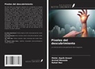 Mohd. Aquib Ansari, Arvind Mewada, Rahat Naz - Píxeles del descubrimiento