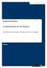 Saedeq Damir-Nester - La Persistencia de los Plotters