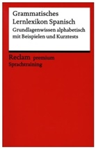 Montserrat Varela Navarro - Grammatisches Lernlexikon Spanisch