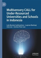 Luqman Baehaqi, Andrew-Peter Lian, Ani Lian, Ania Lian, Lala Bumela Sudimantara - Multisensory CALL for Under-Resourced Universities and Schools in Indonesia