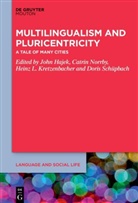 John Hajek, Heinz L Kretzenbacher, Heinz L. Kretzenbacher, Heinz L Kretzenbacher et al, Catrin Norrby, Doris Schüpbach - Multilingualism and Pluricentricity